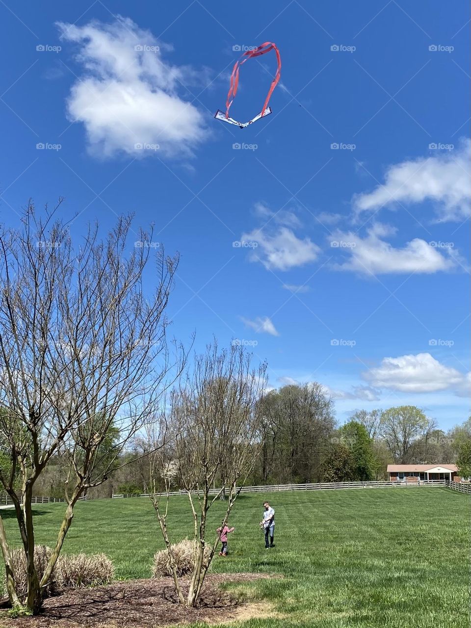 Father and son kite flying