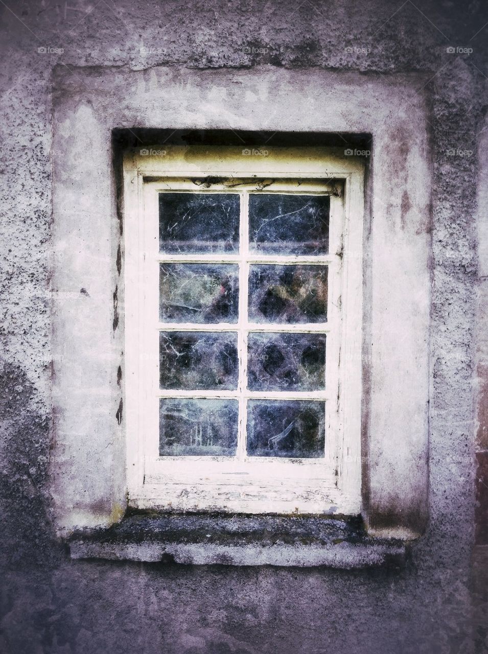 Window