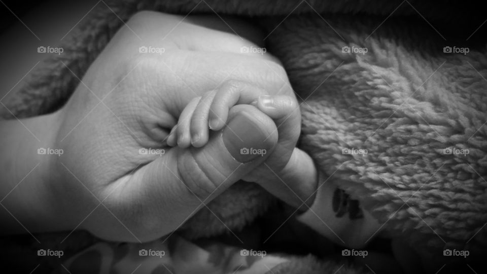 Close-up of a person hand holding baby hand