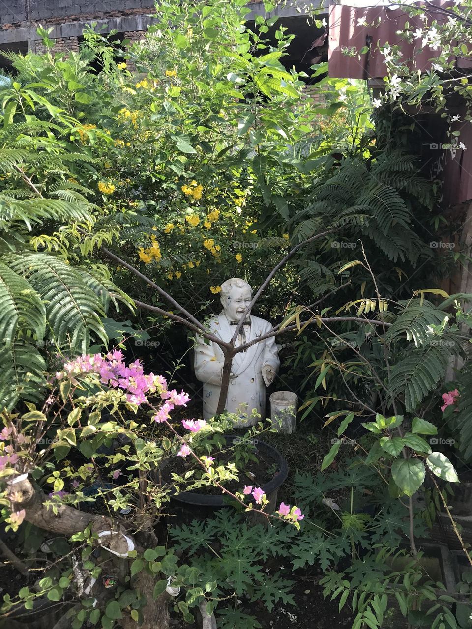 Mr KFC in the nature green