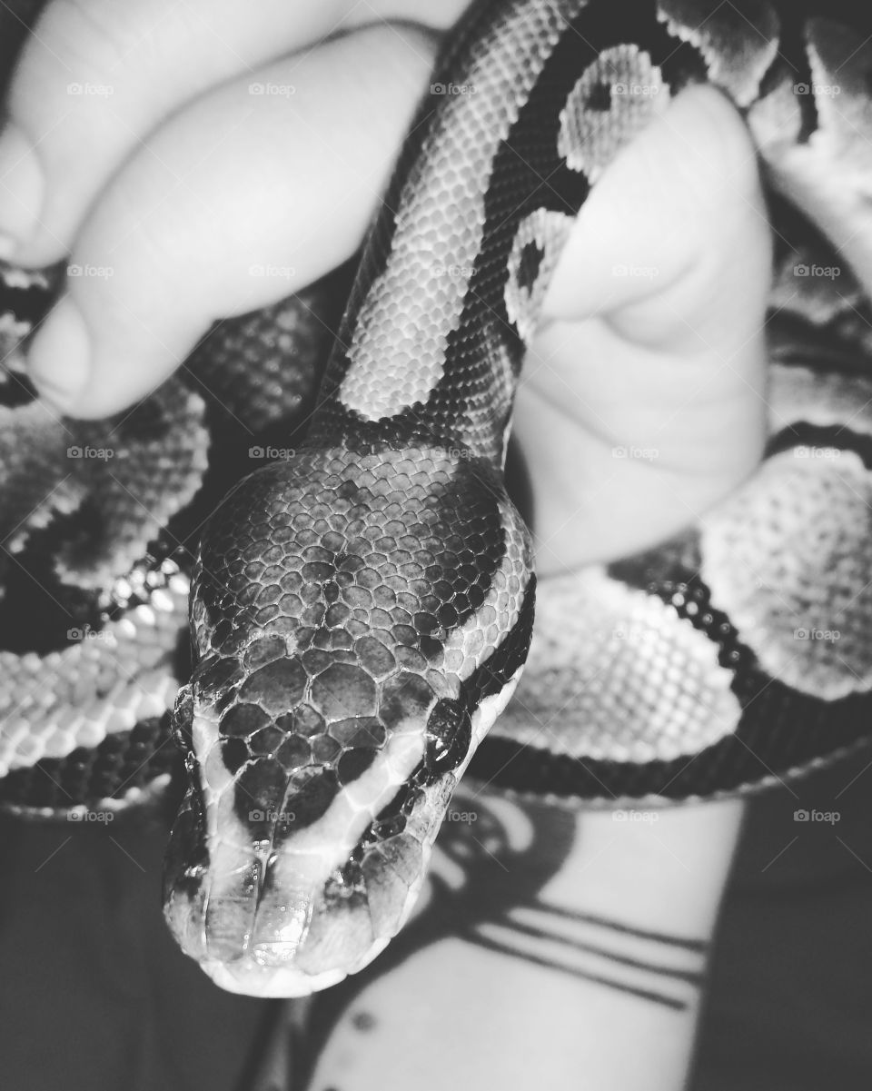 She Was Very Vain and A Little Insane