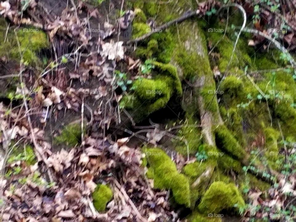 Driving the Back Roads and enjoying everything around us