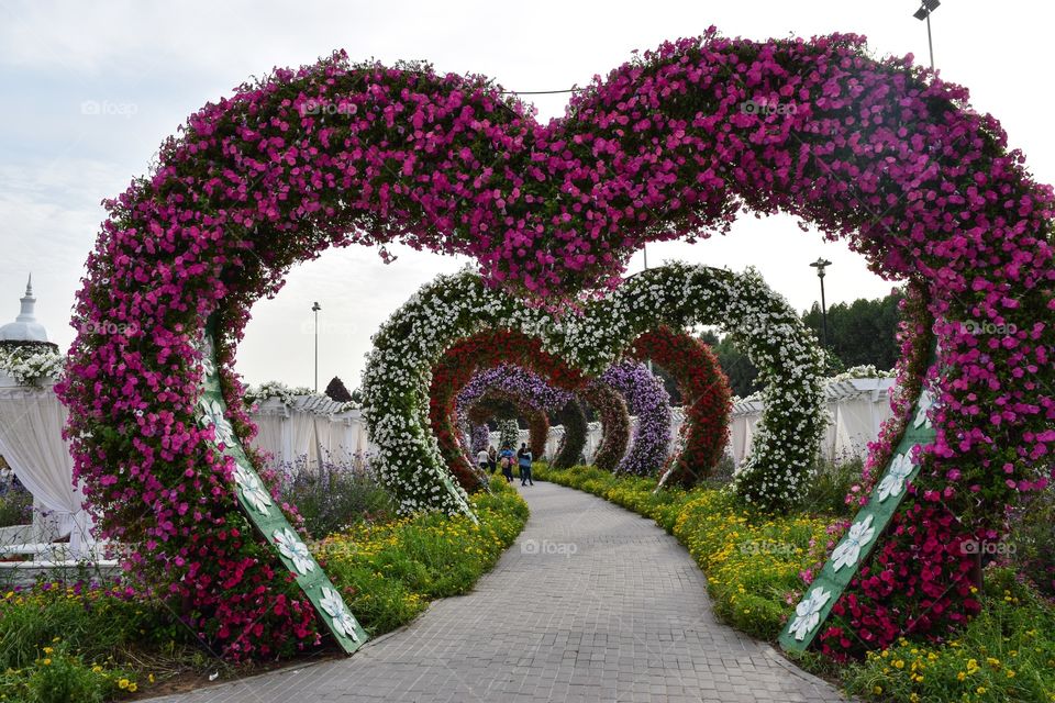 Hearts With Flowers At Miracle Garden Dubai  