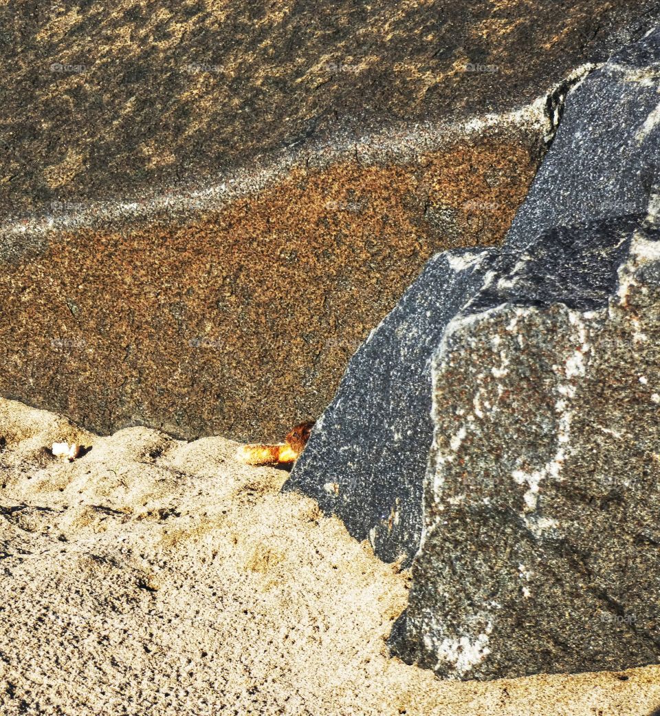 Mouse on the beach eating bread.