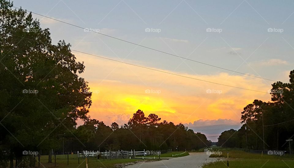 Landscape, Tree, No Person, Lake, Nature