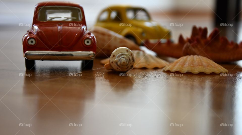 Cars among sea shells