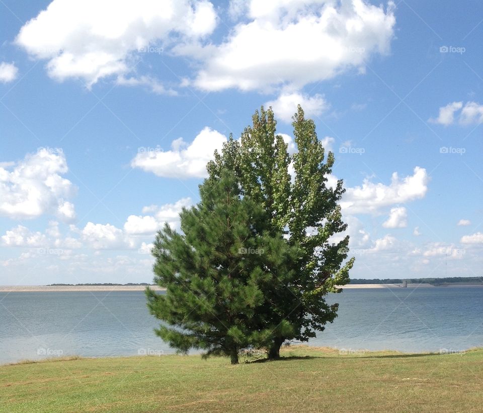 Scenary of the Lake