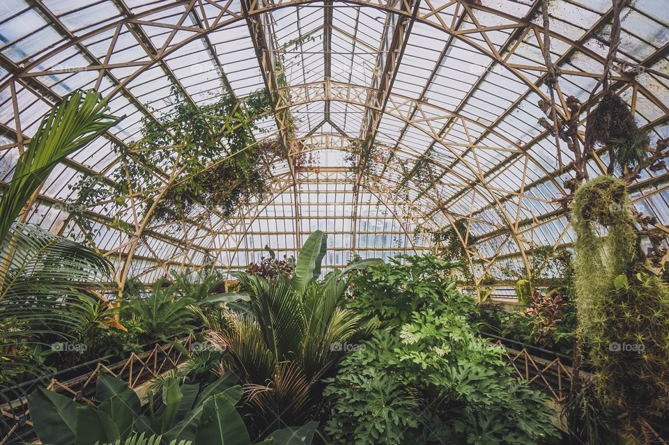 The beautiful Cuningham House Conservatory at Christchurch Botanic Gardens, New Zealand 