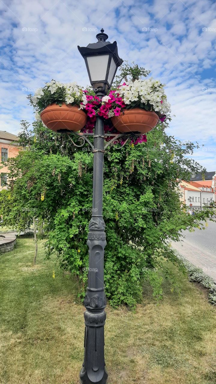 flowers on a lamppost