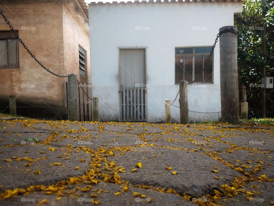 caminho das flores