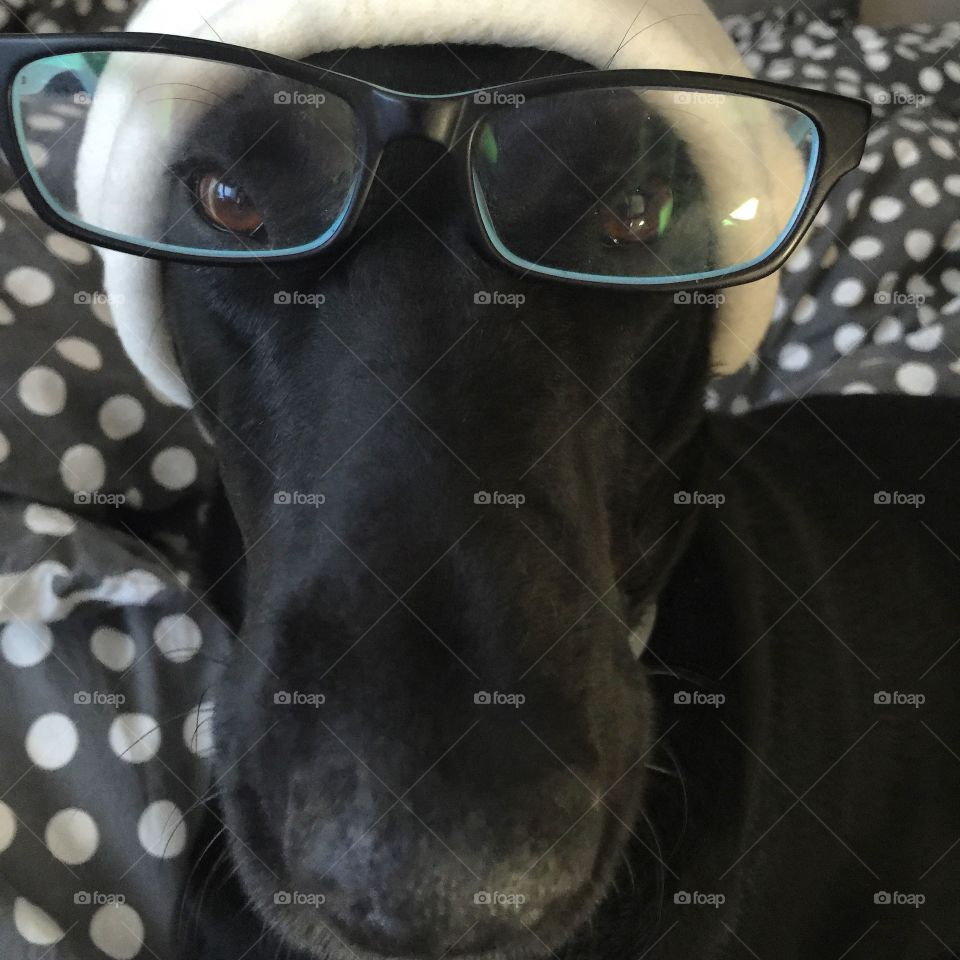 Dana. She likes it ;) 