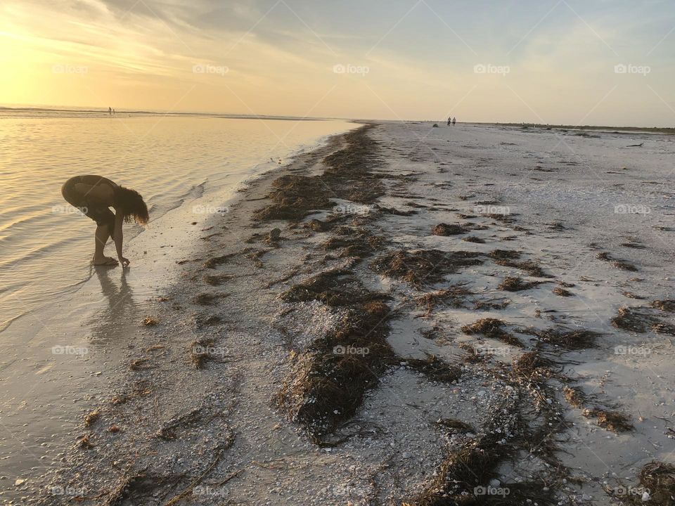 Shelling at Anclote Key Island