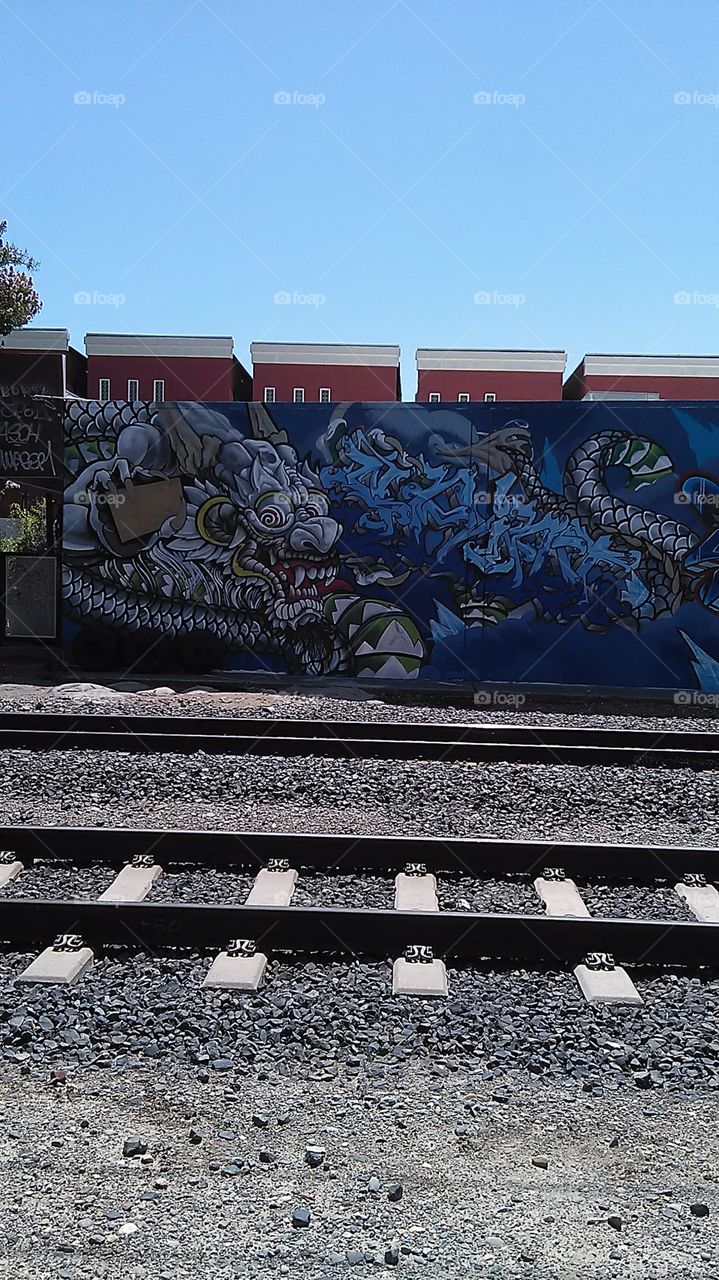 Verdugo dragon eyes. Walking along the train tracks