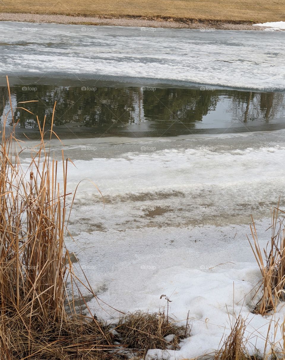 Reflections in melting ice on the pond