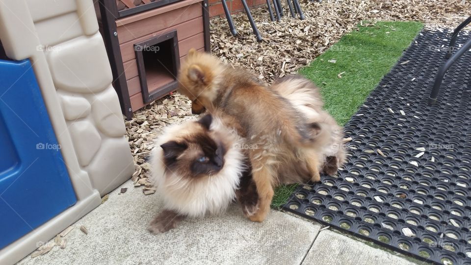 he ain't heavy he's my brother