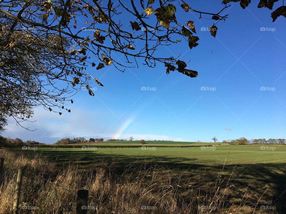 Autumnal Rainbow 🌈