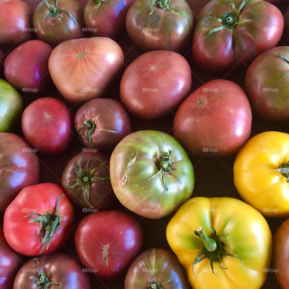 Tri colored tomatoes 