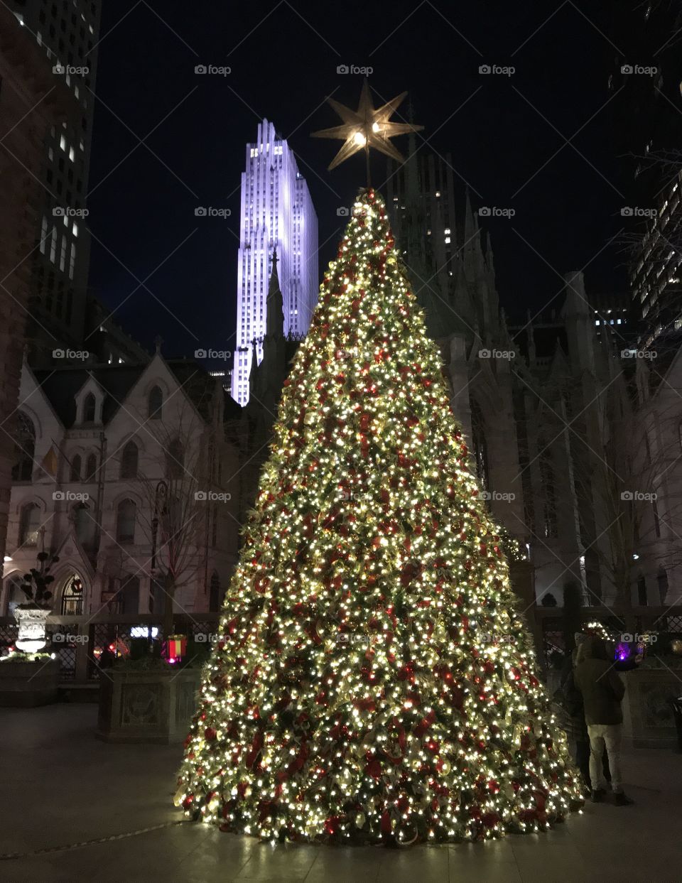 Christmas, Christmas Tree, Winter, Celebration, City