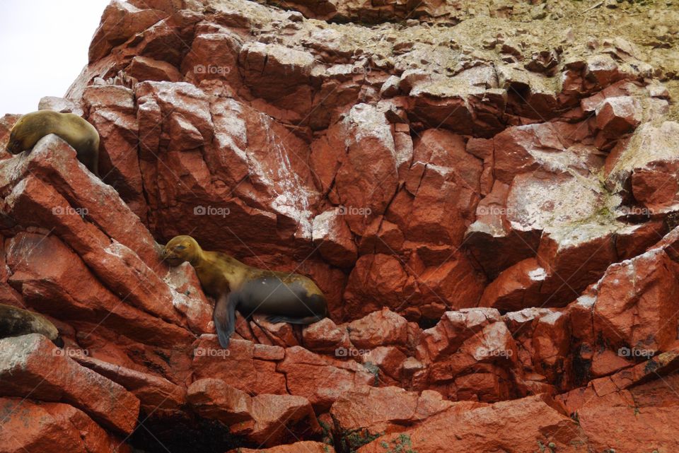 Rock, Stone, No Person, Nature, Desert