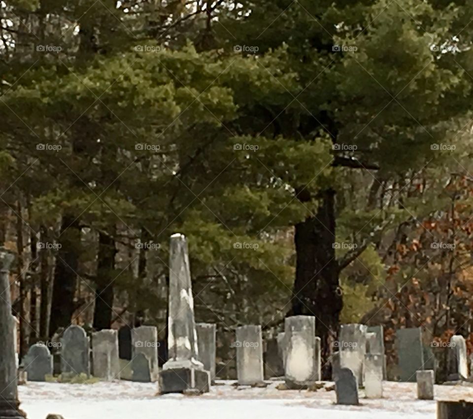 Tree, Winter, Snow, Landscape, Cemetery