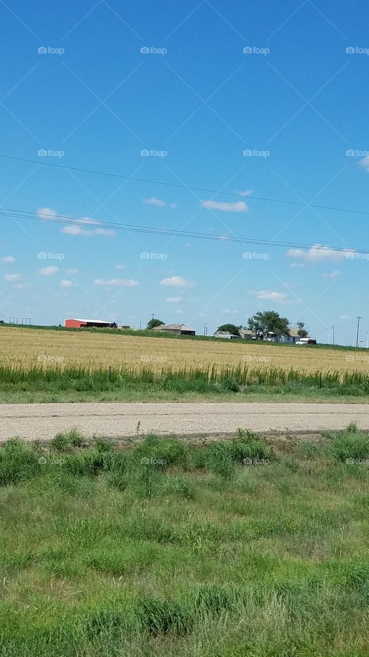 Farm out in the Panhandle