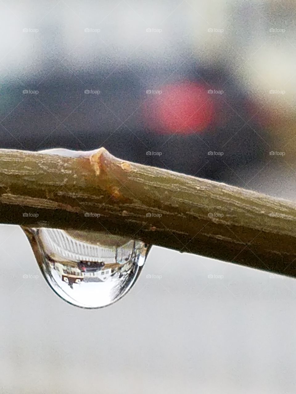 Reflections in a raindrop
