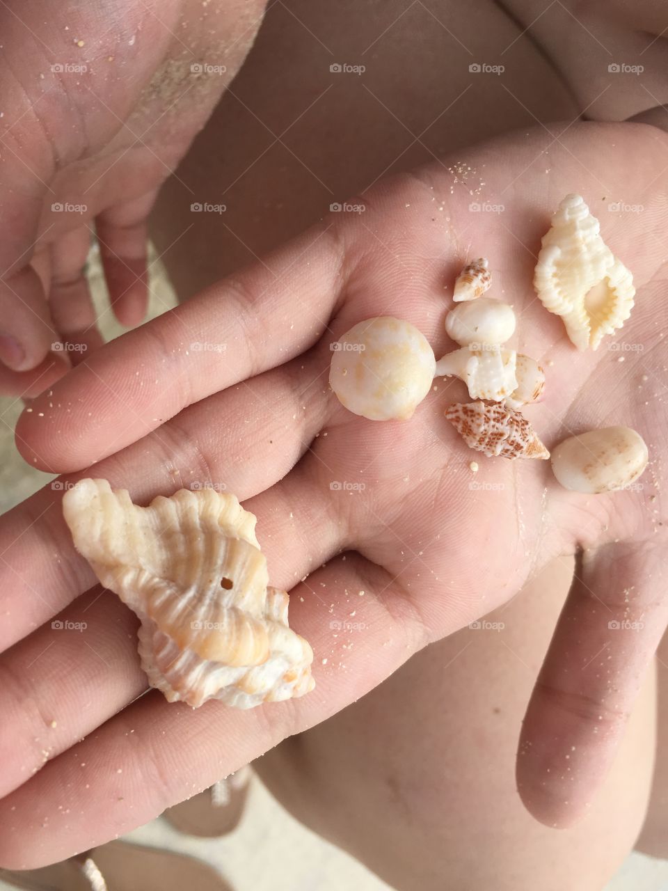 Kids collecting shells