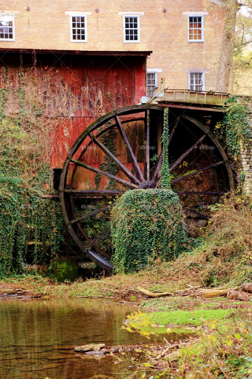 Wheel, Mill, landscape, creek, autumn trees