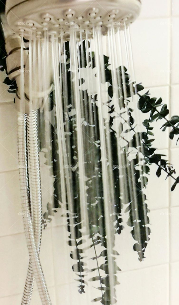 shower. refreshing bathe