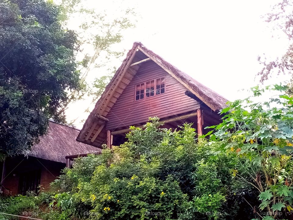 Chalet in the bush