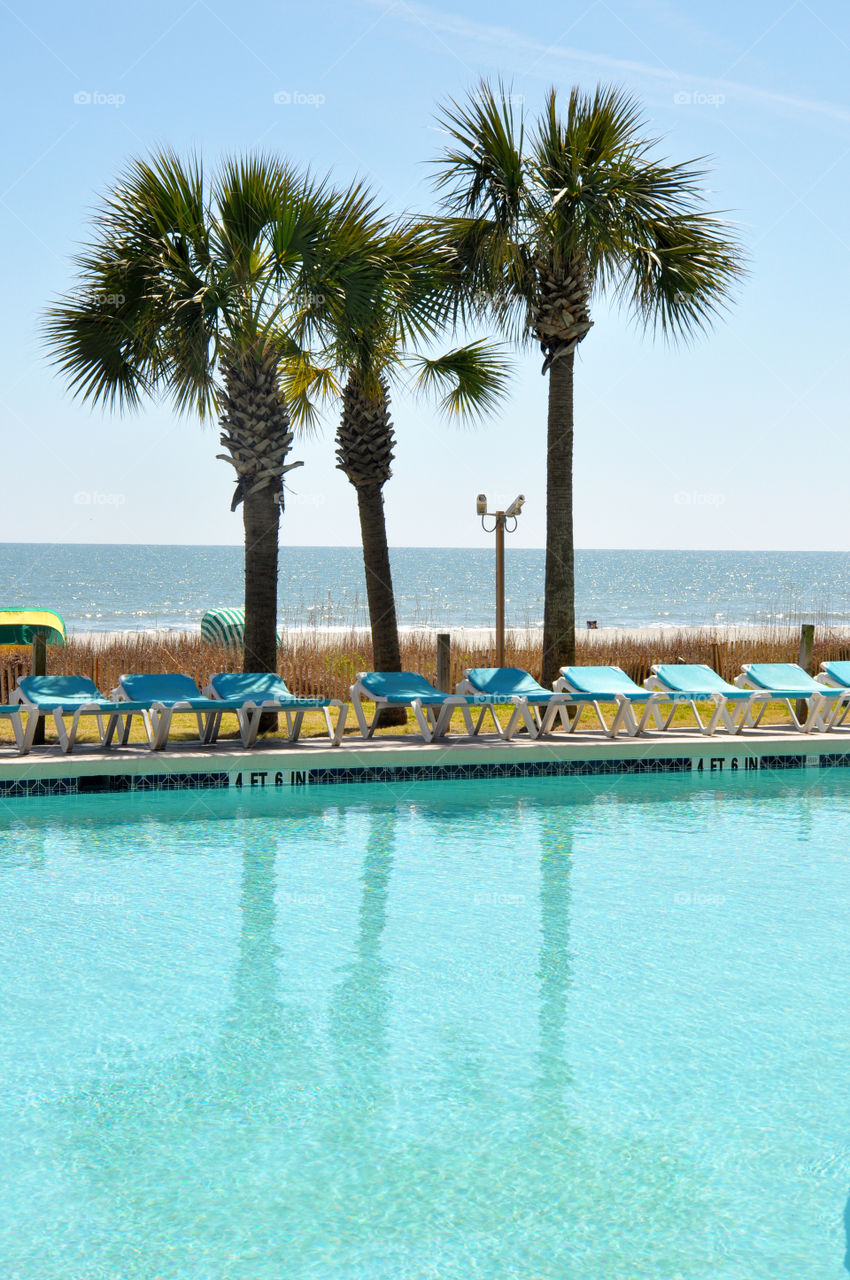 Oceanfront resort swimming pool.