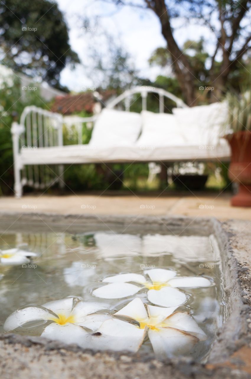 Flowers in water 