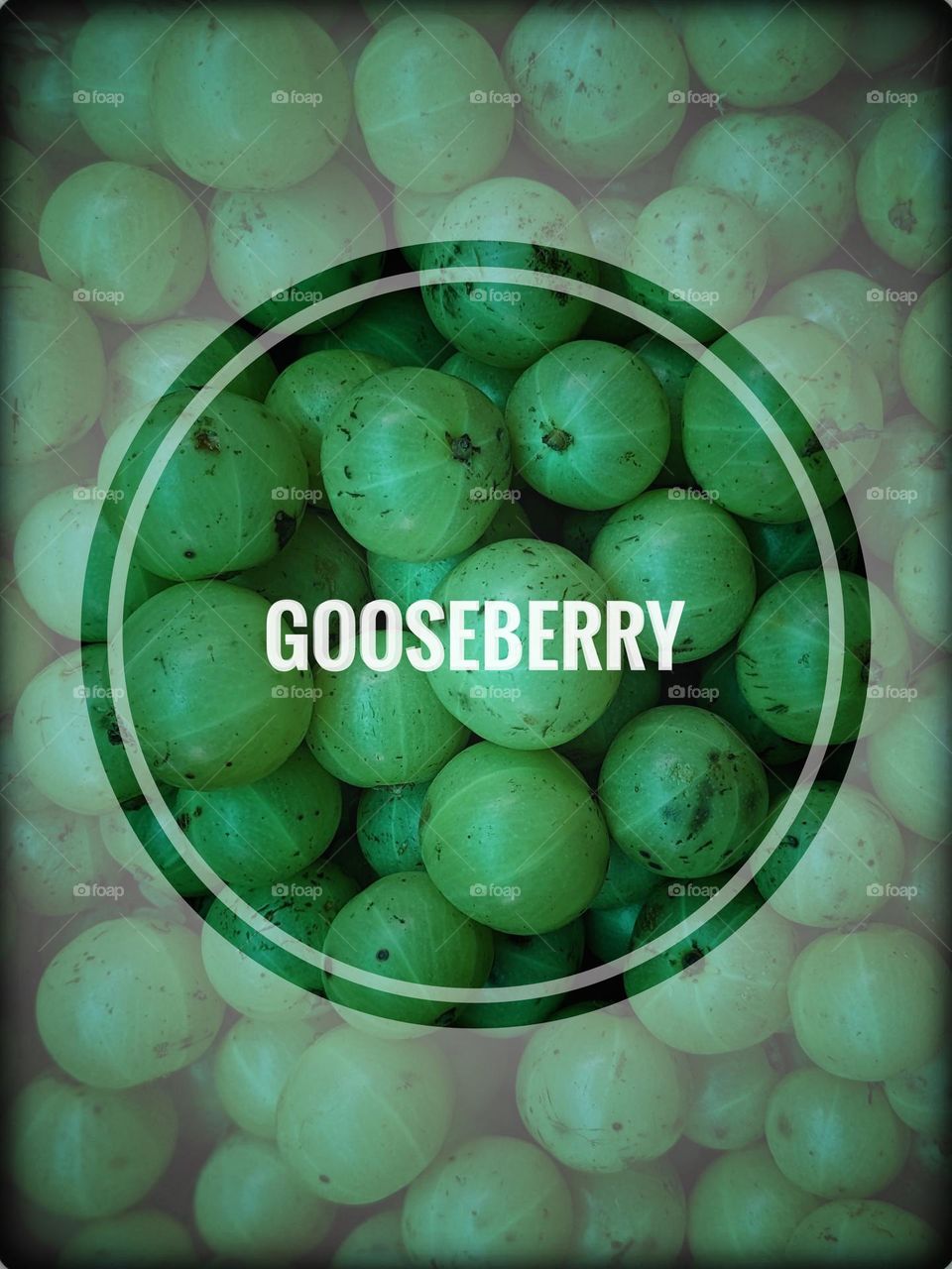 gooseberry cover
