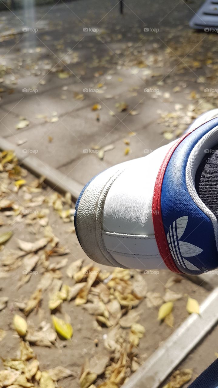 ready for running? autumn time