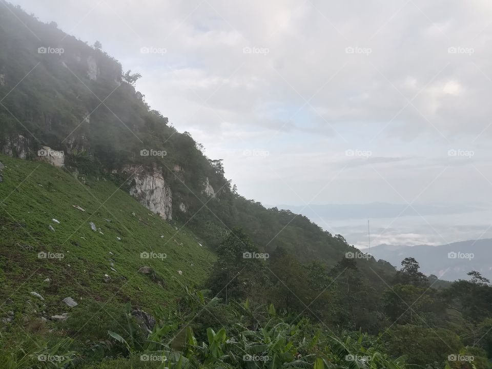 green mountain and fog