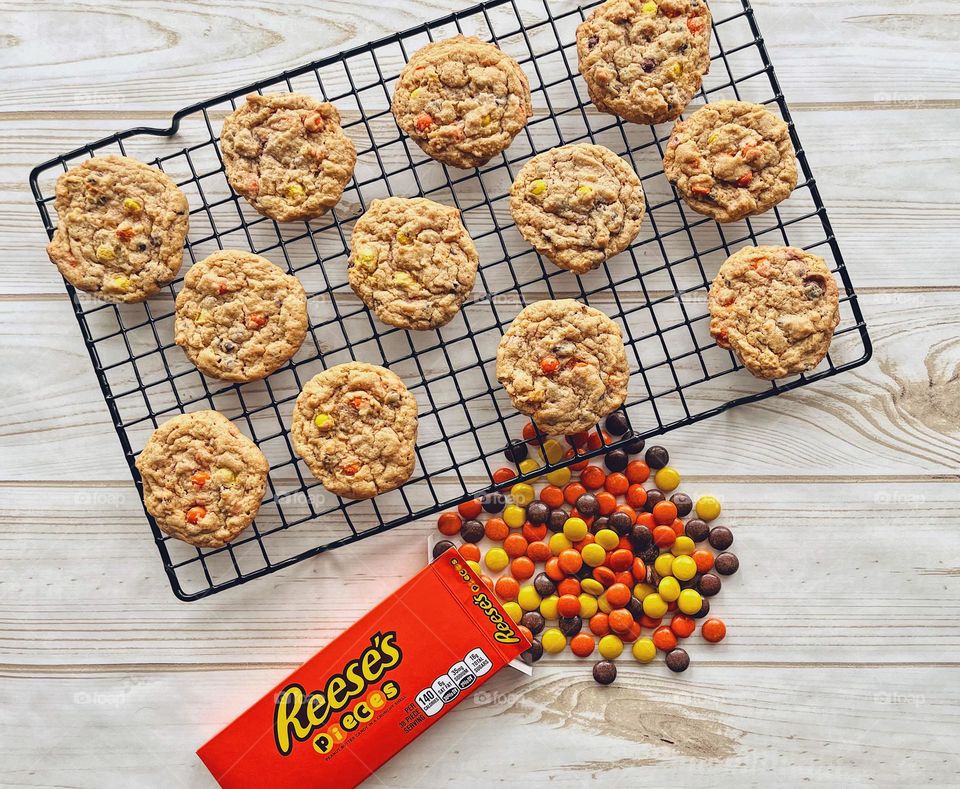 Circle shaped cookies on a cooling rack, circle shaped candy and cookies, delicious circles, geometric shapes in baking, making homemade cookies, homemade cookies on a cooling rack, making cookies with toddlers, round shaped desserts 