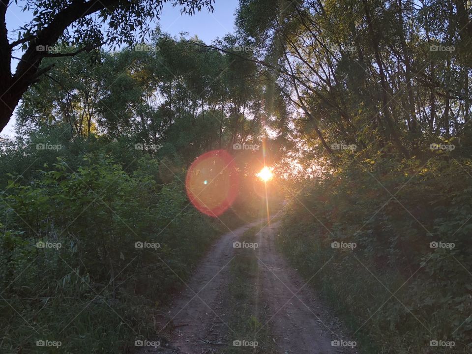 Summer walk