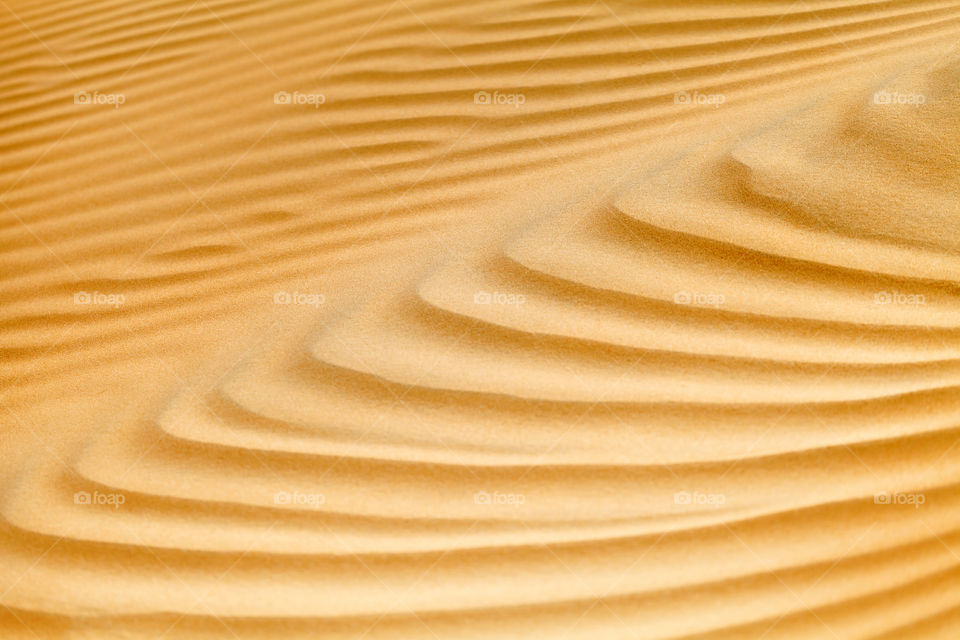 Abstract texture in the desert sand dune