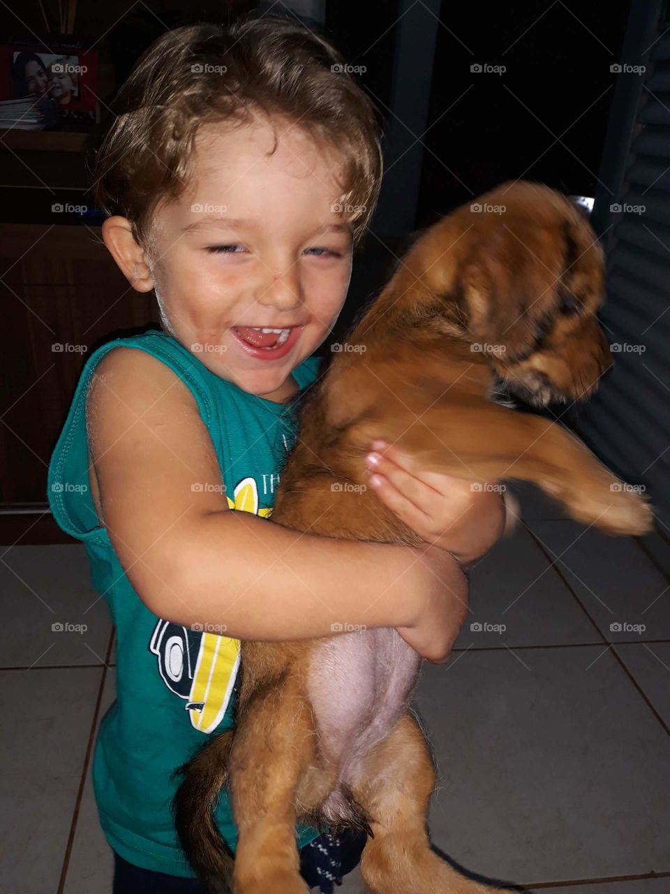 cheerful child playing with the dog