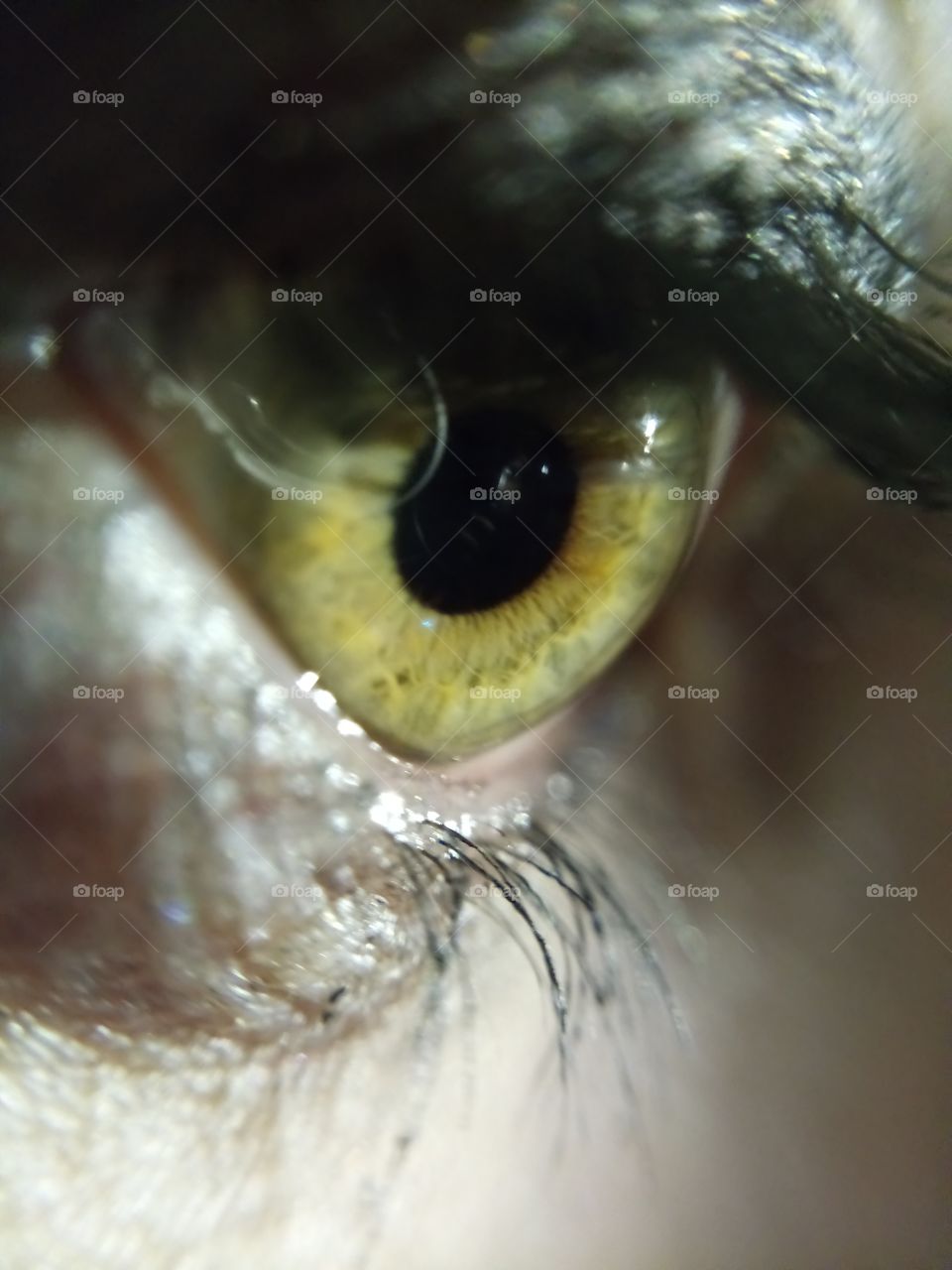 Macro shot of human eyes