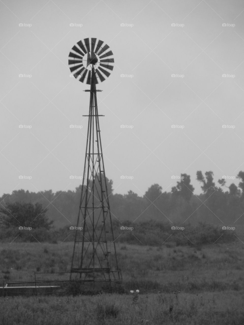 Kansas Windmill