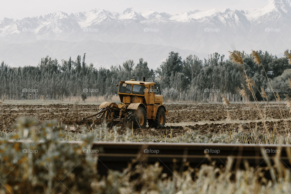 orange tractor on field . harvest concept