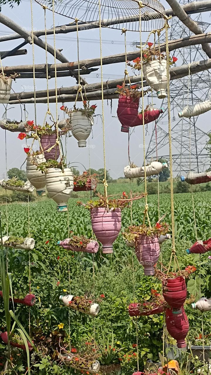 used empty water bottles for nine o'clock planters and coloured them in different colours like white ,pink, marron and hanging from the fan front made up of iron,along with nylon strings . (out of waste) on the top bamboo bars.