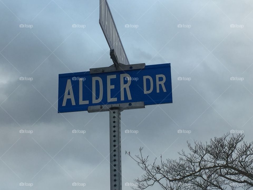 ALDER DR