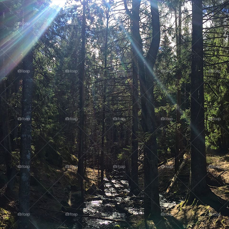 Running and solitude is good for the mind 