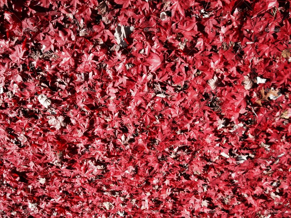 Creative Textures mission