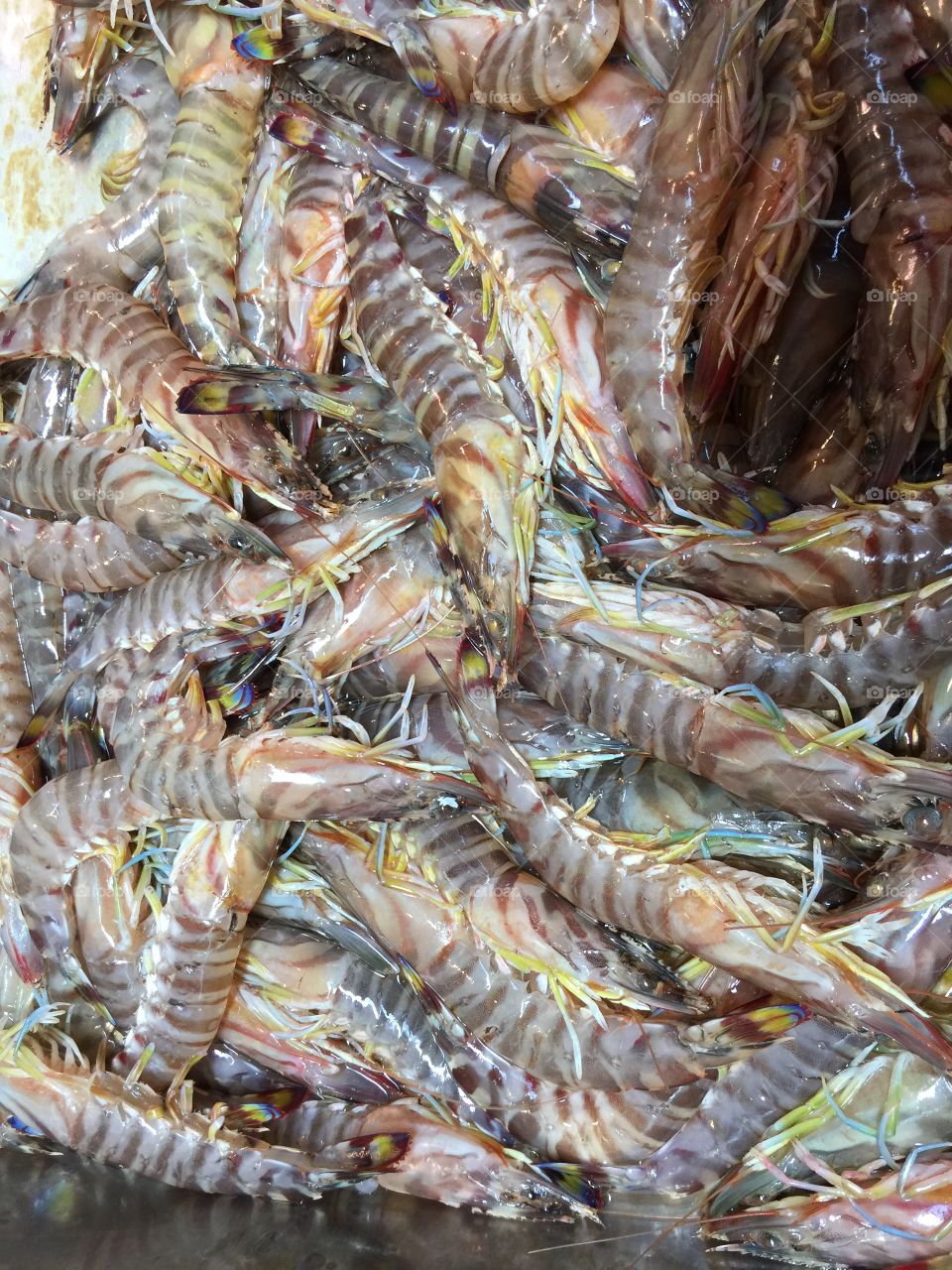 Shrimps in a fish market 
