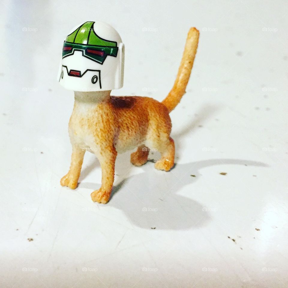 Toy cat