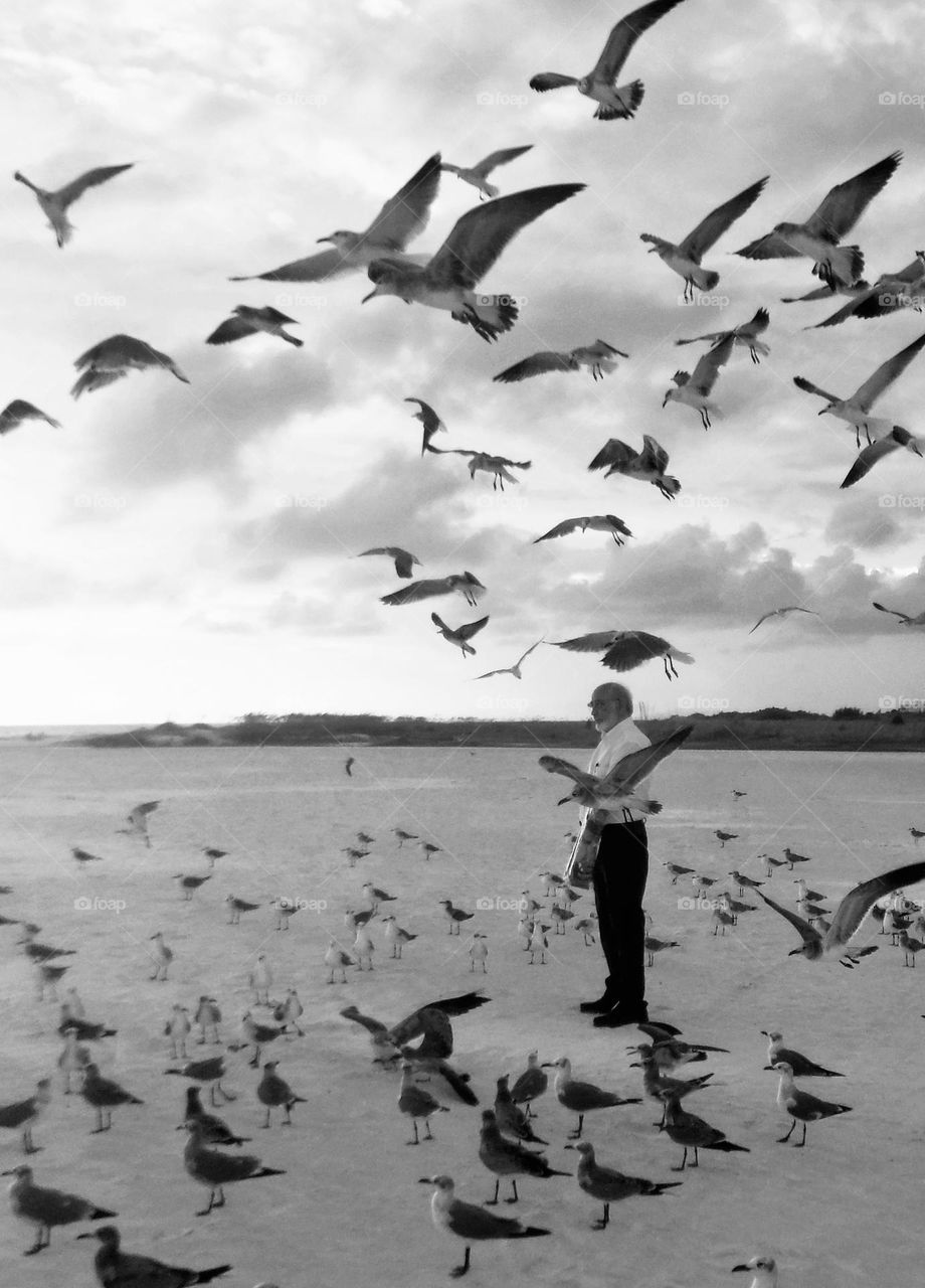 Man in the beach feeding birds 