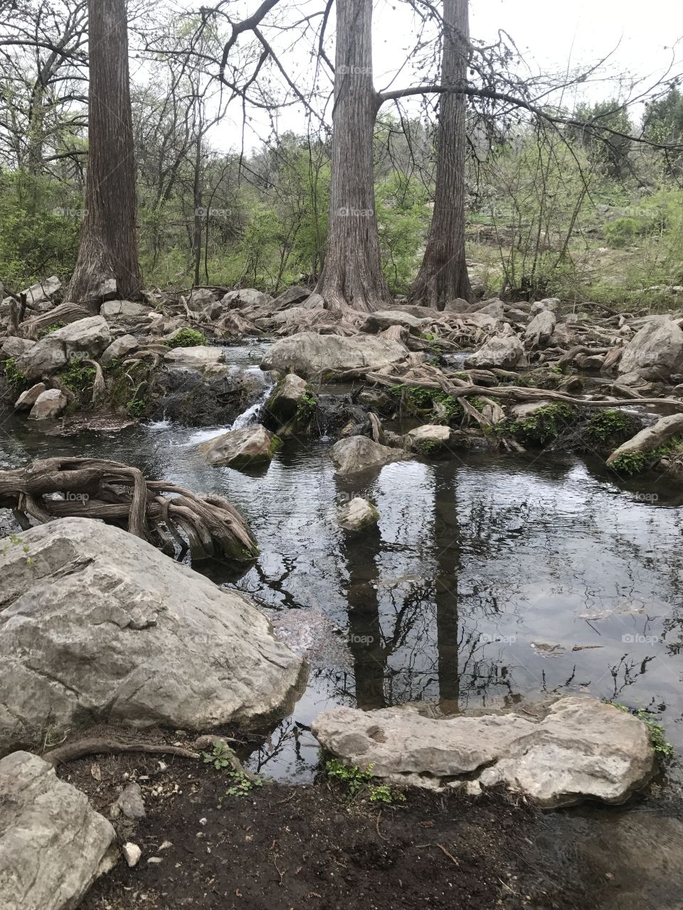If you look close enough you can hear the trickling water and the light sound of the breeze
